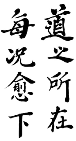 Characters tai chinese chi in Wuji (Wu