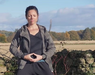 WUDANG SINGLE TURTLE MOVE QIGONG WUDANG SINGLE TURTLE MOVE QIGONG WITH OPEN AND CLOSE